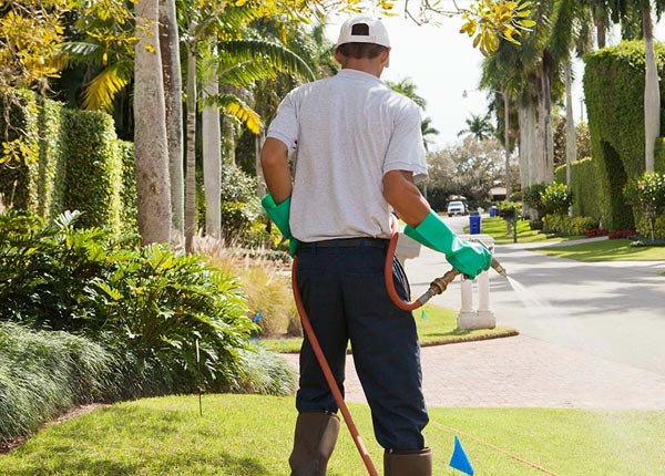 About Lewiston ME Pest Control Pros